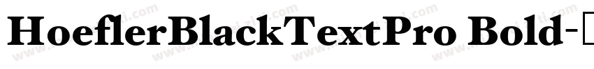 HoeflerBlackTextPro Bold字体转换